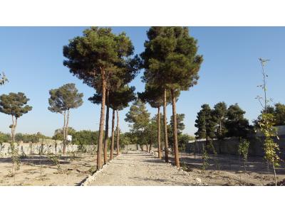 مهرشهر 5000 متر باغ ویلا ششدانگ باوجوز ساخت