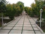 1020 باغ ویلا شیک در فرخ آباد کرج